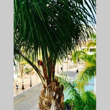 Begonia Center 230 By Namaste Elite Torremolinos