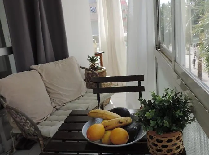 Begonia Center 230 By Namaste Elite *