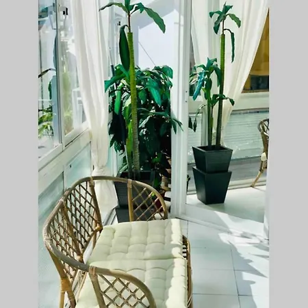 Begonia Center 230 By Namaste Elite * 托雷莫利诺斯