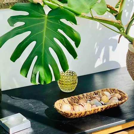 Begonia Center 230 By Namaste Elite Apartmán Torremolinos