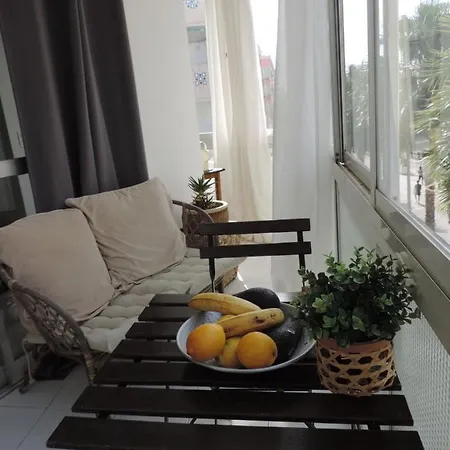 Begonia Center 230 By Namaste Elite *