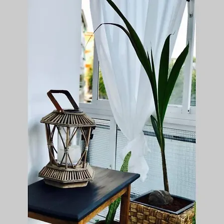 شقة Begonia Center 230 By Namaste Elite *