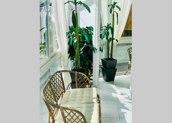 Begonia Center 230 By Namaste Elite * Torremolinos