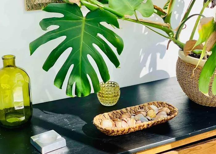 Begonia Center 230 By Namaste Elite Daire Torremolinos