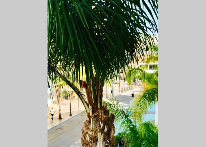 Begonia Center 230 By Namaste Elite Torremolinos