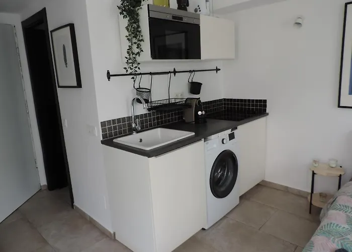 Begonia Center 230 By Namaste Elite